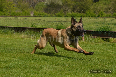 Jederhundrennen / Bild 456 von 488 / 01.05.2016 14:35 / DSC_0757.JPG