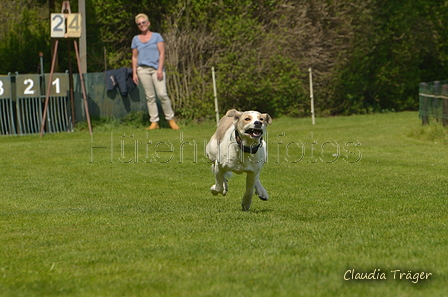 Jederhundrennen / Bild 457 von 488 / 01.05.2016 14:36 / DSC_0764.JPG