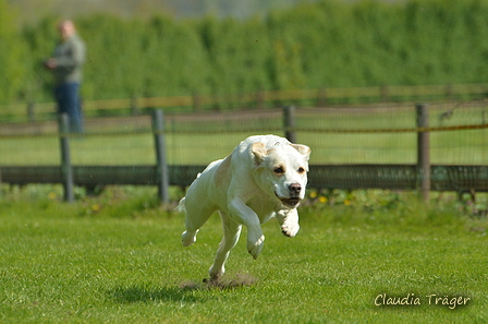 Jederhundrennen / Bild 84 von 516 / 01.05.2017 11:14 / DSC_7015.JPG