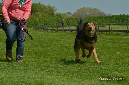 Jederhundrennen / Bild 253 von 516 / 01.05.2017 12:16 / DSC_7728.JPG