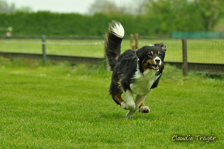 Jederhundrennen / Bild 363 von 516 / 01.05.2017 14:24 / DSC_2065.JPG