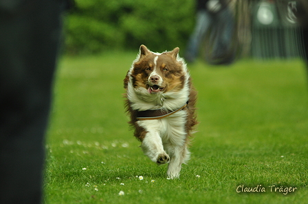 Jederhundrennen / Bild 374 von 516 / 01.05.2017 14:31 / DSC_2138.JPG