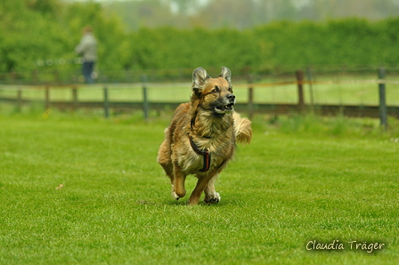 Jederhundrennen / Bild 398 von 516 / 01.05.2017 14:45 / DSC_2245.JPG