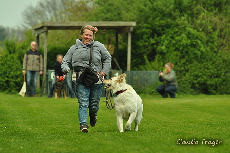 Jederhundrennen / Bild 423 von 516 / 01.05.2017 14:58 / DSC_2411.JPG