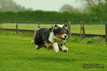 Jederhundrennen / Bild 467 von 516 / 01.05.2017 15:13 / DSC_2592.JPG