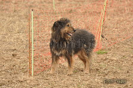 VDL Bundeshüten 2015 / Bild 76 von 169 / 12.09.2015 15:54 / DSC_8373.JPG