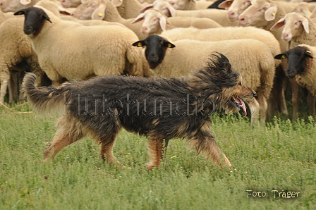 VDL Bundeshüten 2015 / Bild 80 von 169 / 12.09.2015 16:03 / DSC_8440.JPG