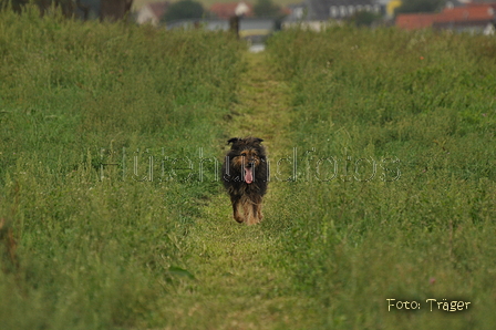 VDL Bundeshüten 2015 / Bild 82 von 169 / 12.09.2015 16:13 / DSC_8528.JPG