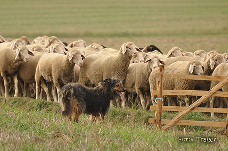 VDL Bundeshüten 2015 / Bild 85 von 169 / 12.09.2015 16:37 / DSC_8636.JPG