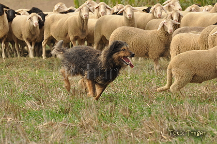 VDL Bundeshüten 2015 / Bild 86 von 169 / 12.09.2015 16:38 / DSC_8652.JPG