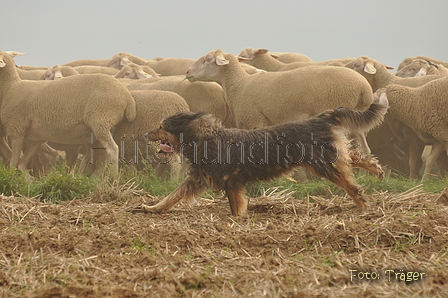 VDL Bundeshüten 2015 / Bild 93 von 169 / 12.09.2015 16:44 / DSC_8737.JPG