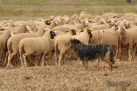 VDL Bundeshüten 2015 / Bild 95 von 169 / 12.09.2015 16:47 / DSC_8787.JPG