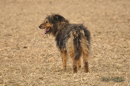 VDL Bundeshüten 2015 / Bild 96 von 169 / 12.09.2015 16:47 / DSC_8793.JPG