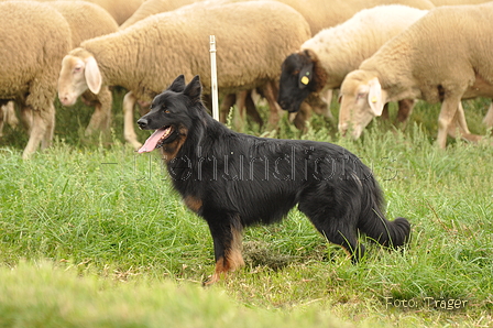 VDL Bundeshüten 2015 / Bild 131 von 169 / 13.09.2015 10:37 / DSC_0013.JPG